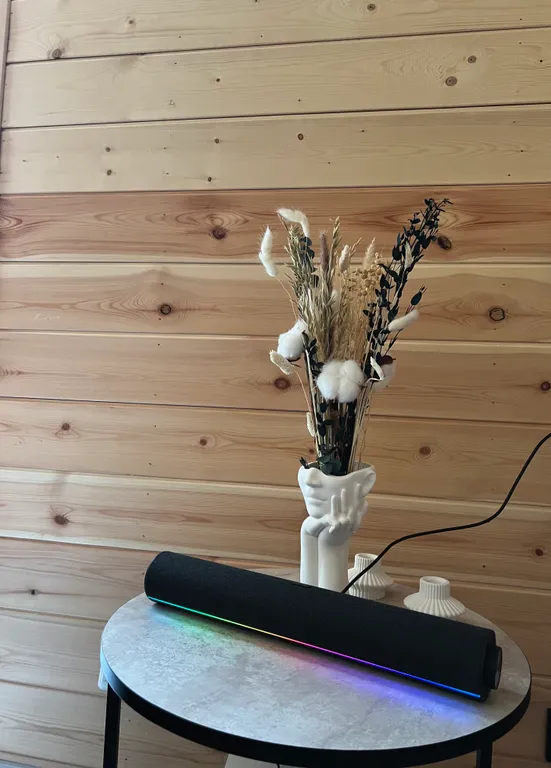 Дом O'Pushka space в березовом лесу