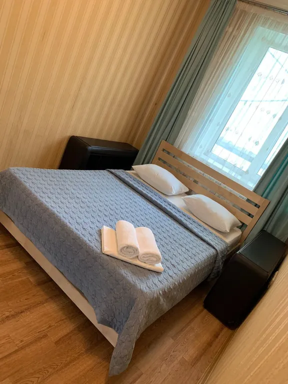 2-комнатная квартира вблизи Галереи Чижова — аренда посуточно в Воронеж