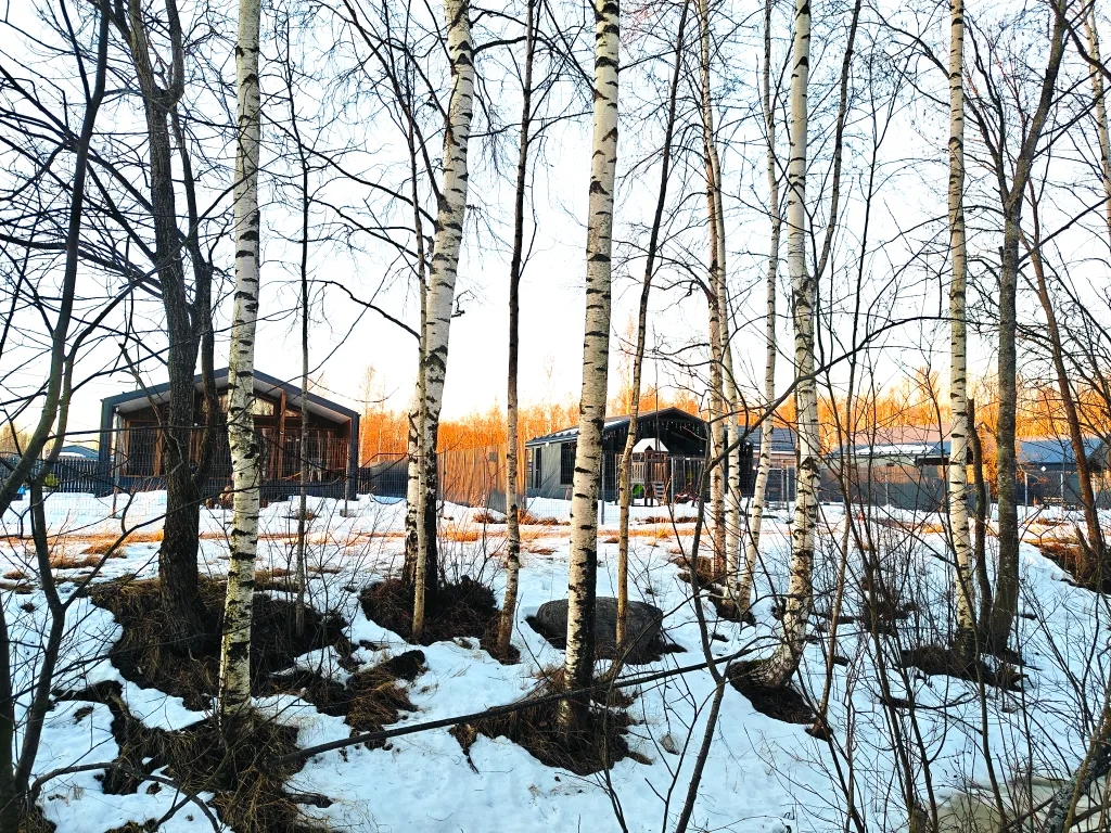 Коттедж Коттедж с сауной у леса — Санкт-Петербург