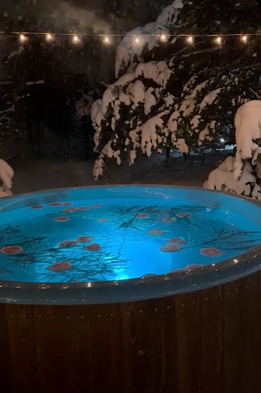 Дом с сауной и купелью в Подмосковье