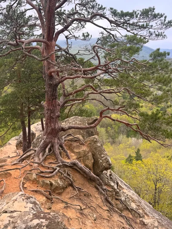 Коттедж Домик в предгорье со всеми удобствами — Краснодар