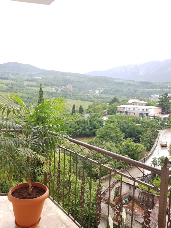 Видовая квартира с балконом 1.4