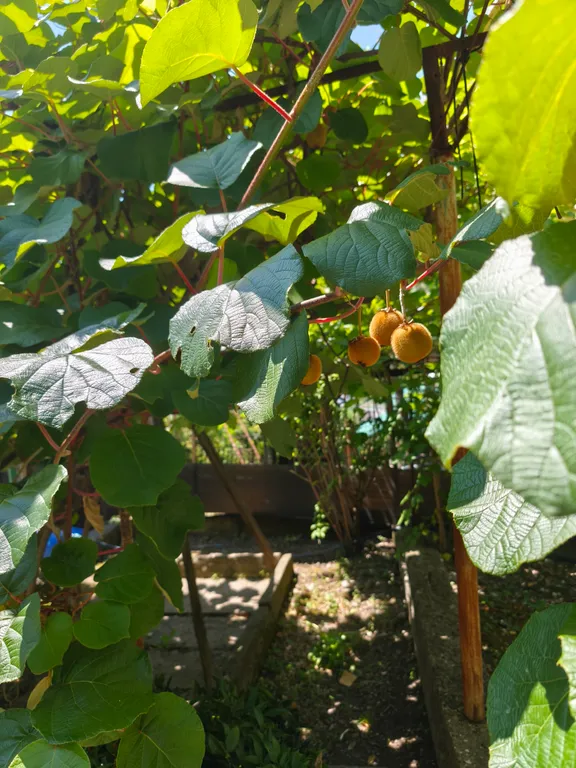 Коттедж Дом с бассейном и баней — Кроянское