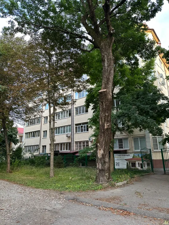 Квартира в центре парка рядом минеральные источники