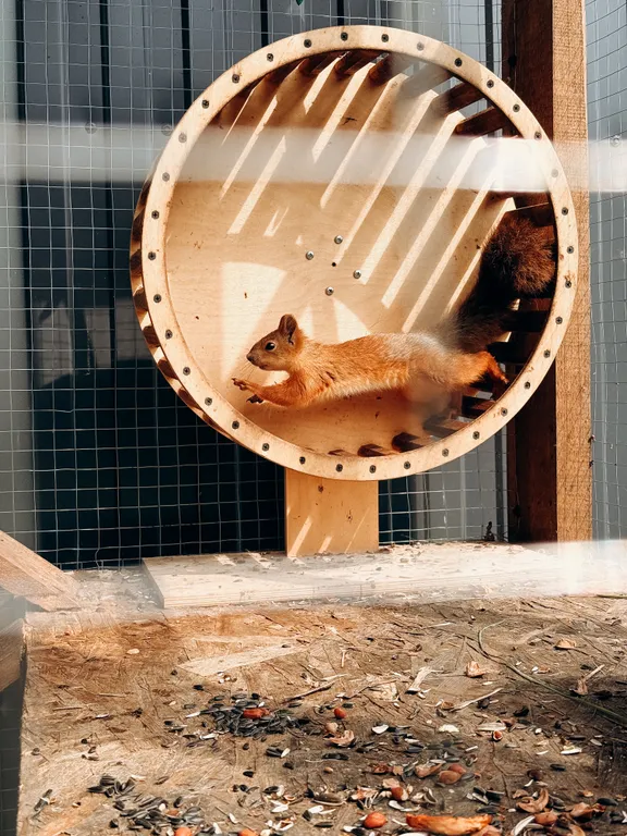 Дом с сауной, включена в стоимость, и горячей купелью на террасе