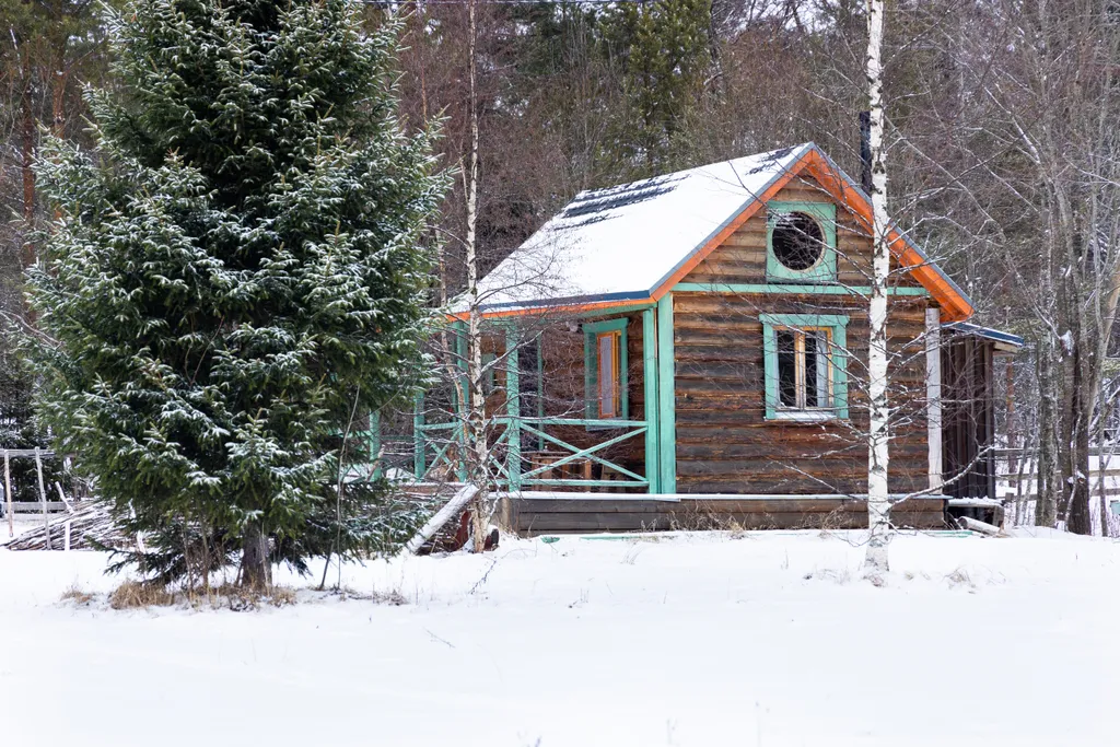 Волшебная Беличья Избушка на территории арт-усадьбы Туманный Хемуль