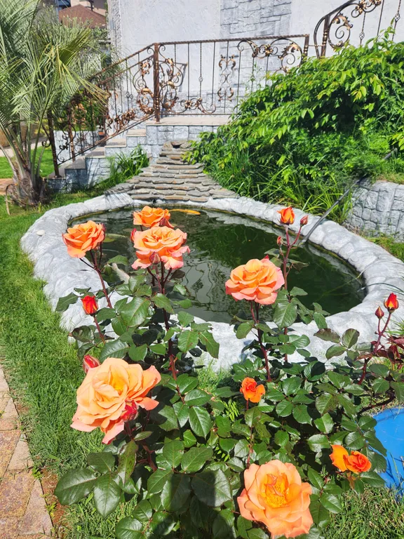 Апартаменты-студия с парковкой