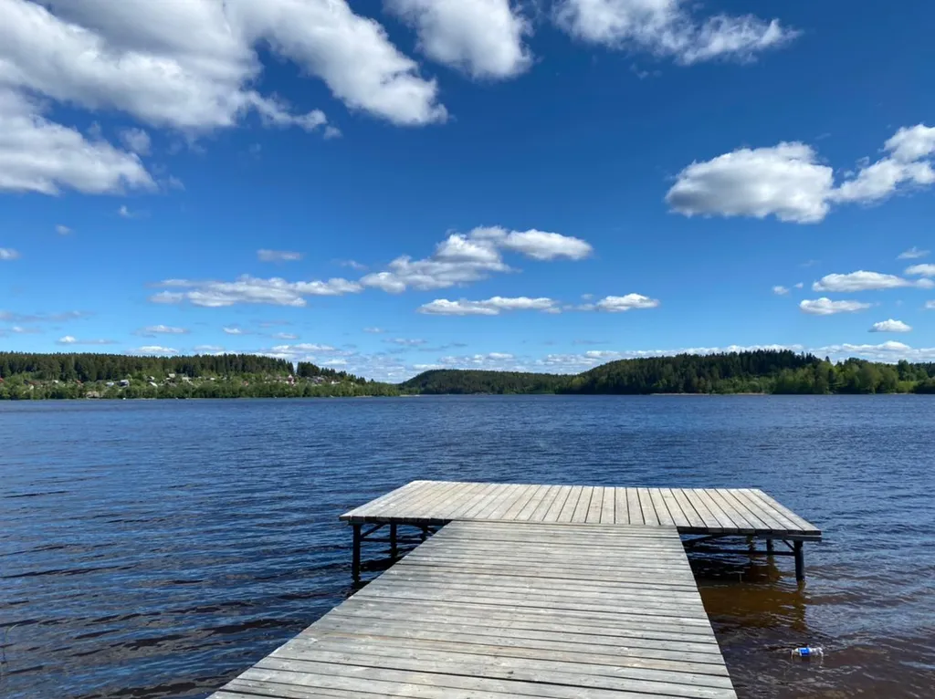 Черника в Нукутталахти