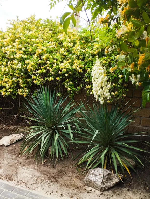 Квартира Квартира Комфорт 4-х местный — Новоотрадное