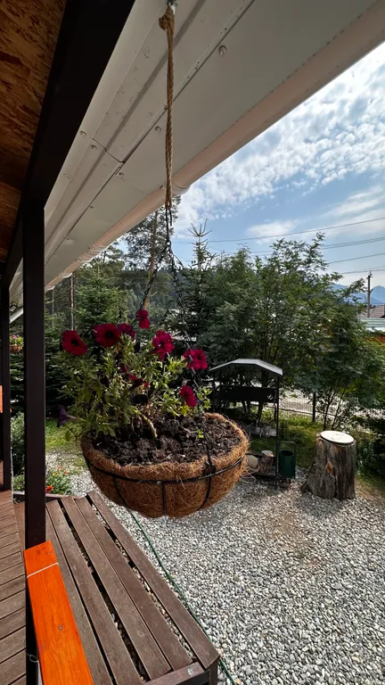 Гостевой дом-под небом архыза