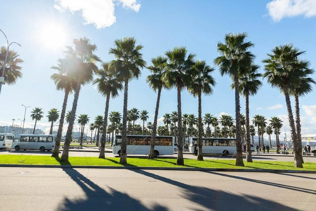 Квартира в Олимпийском парке