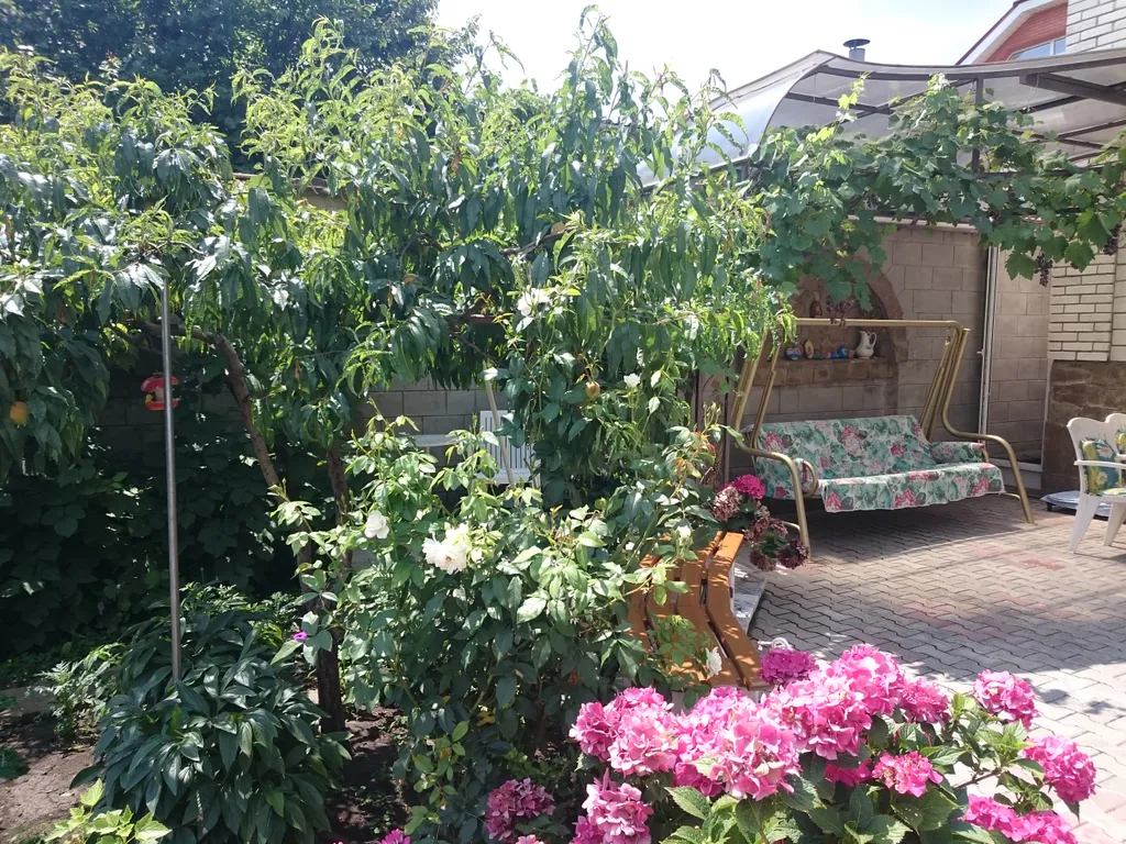 Квартира Апартаменты расположены в пешеходной зоне города Феодосия — аренда посуточно в Феодосия