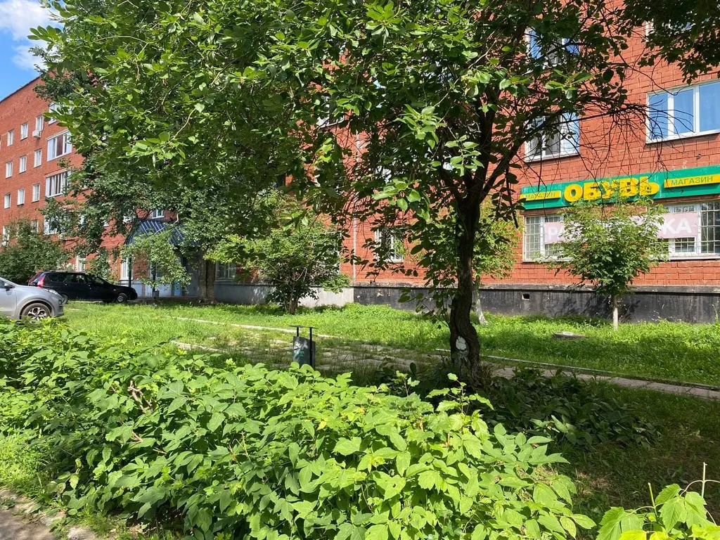 Студия рядом с зоопарком II