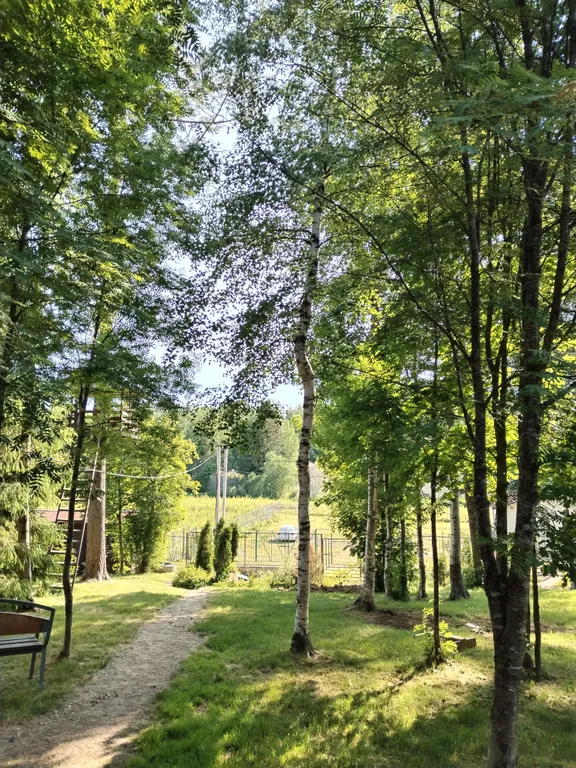 Коттедж Рябиновый домик с видом на лес и реку — Агалатово