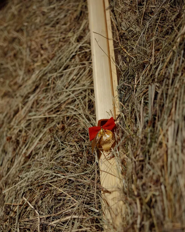 Арт-баня дюпло возле реки в окружении реликтового леса