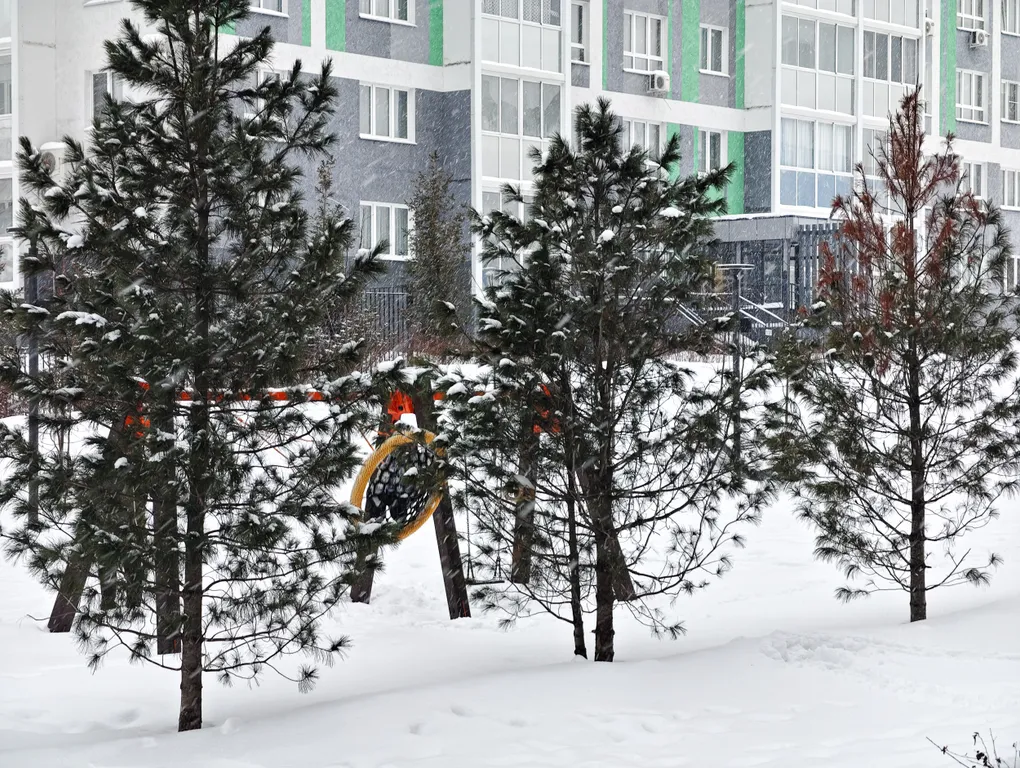 Квартира в новом доме с видом на Московскую площадь
