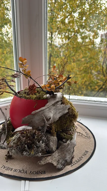 Вид на горы