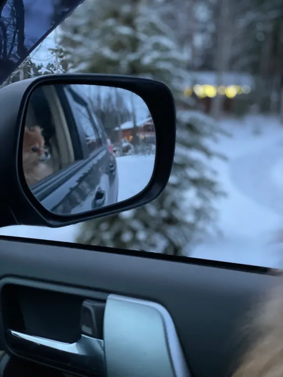 Одноэтажный дом с 2 спальнями, сауной и видом за Выборгский залив