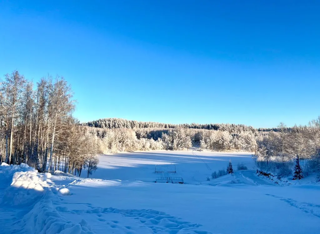 Дом N3 с сауной и камином  на берегу озера Лунное
