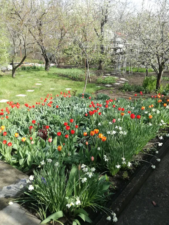 Приятная двухкомнатная квартира для спокойного отдыха под пение птиц