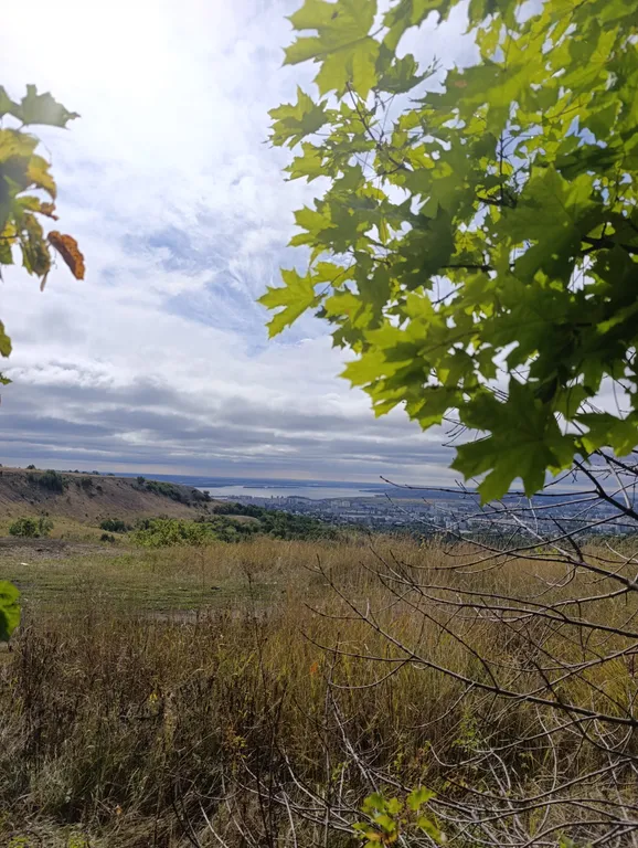 Уютный дом в хвойном саду на Кумысной поляне