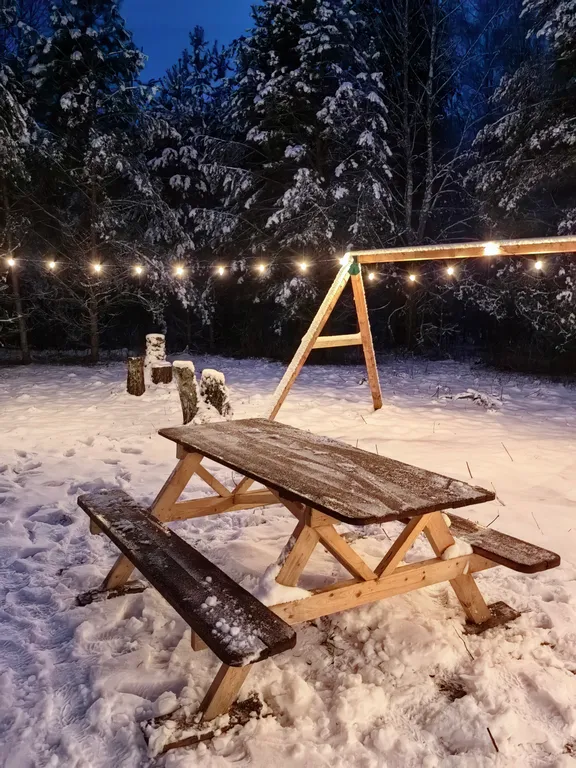 Купол в лесу