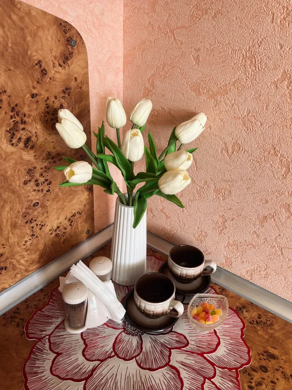 Уютная однушка в Серебрянке