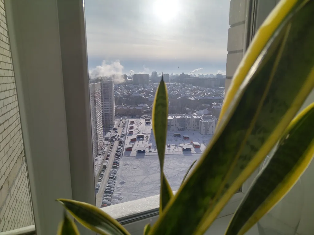 Уютная квартира