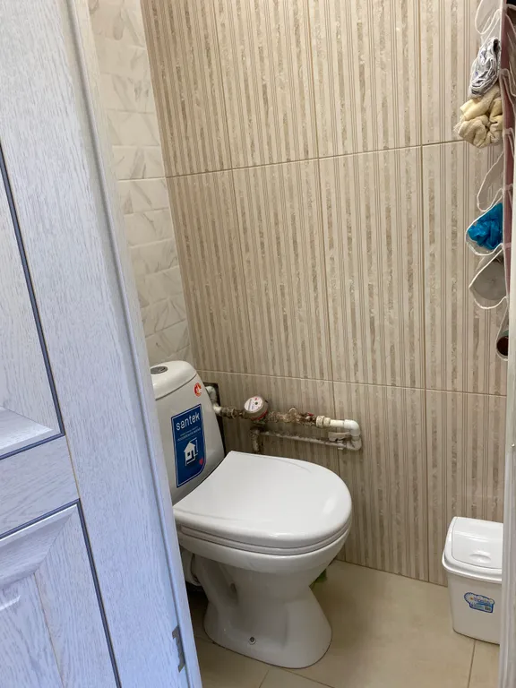 Маленькая студия рядом с лесом