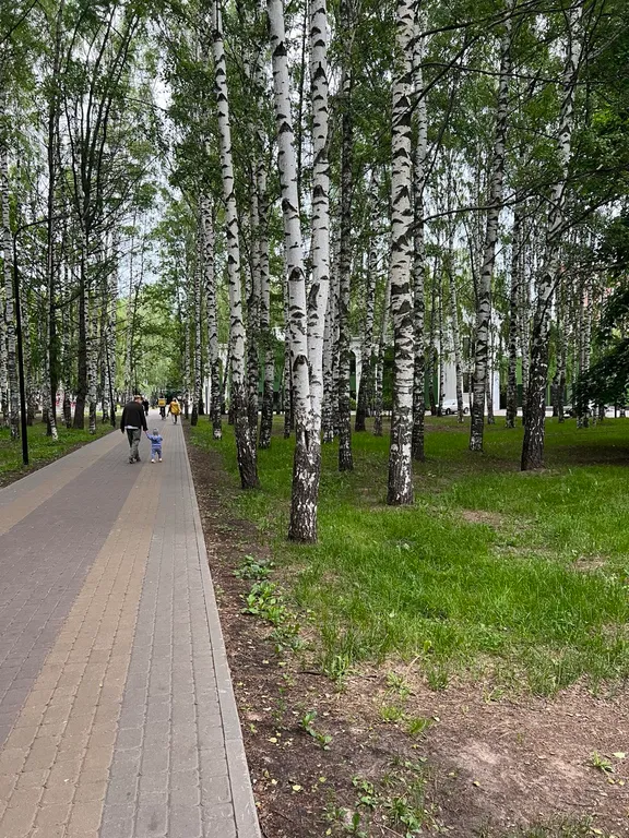 Квартира Квартира Две спальни, центр города вид на парк Пушкина метро, покровка и Кремль — Нижний Новгород