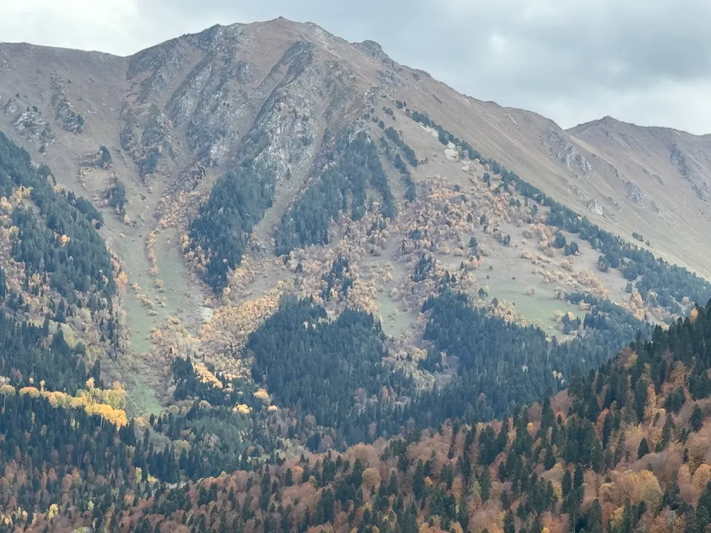 Новый коттедж в лесу