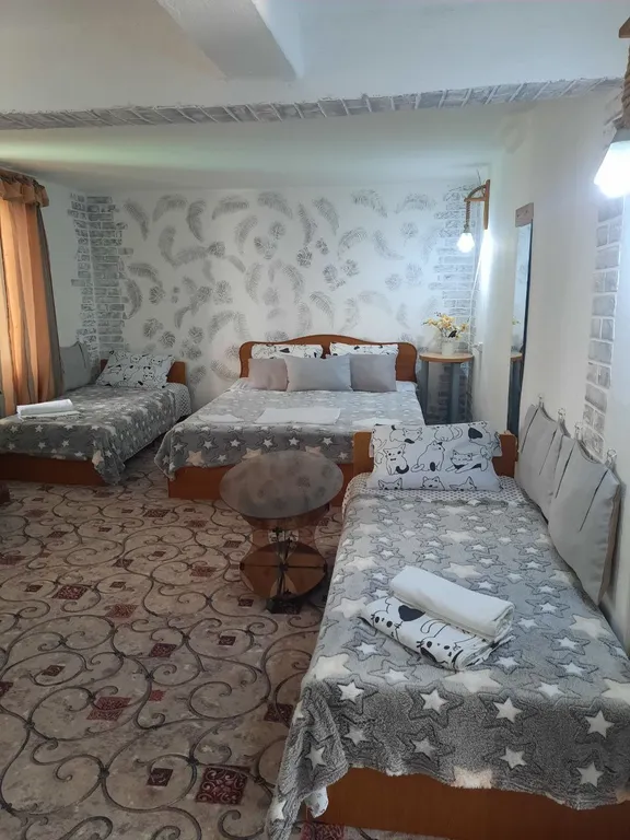 Квартира Семейный номер с кухней — аренда посуточно в Псырцха