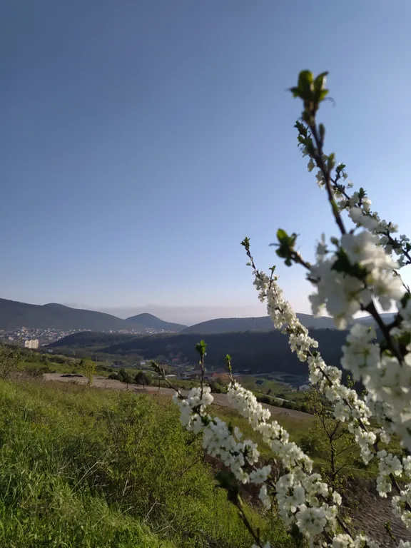 Комфортная студия в Холидей Хаус