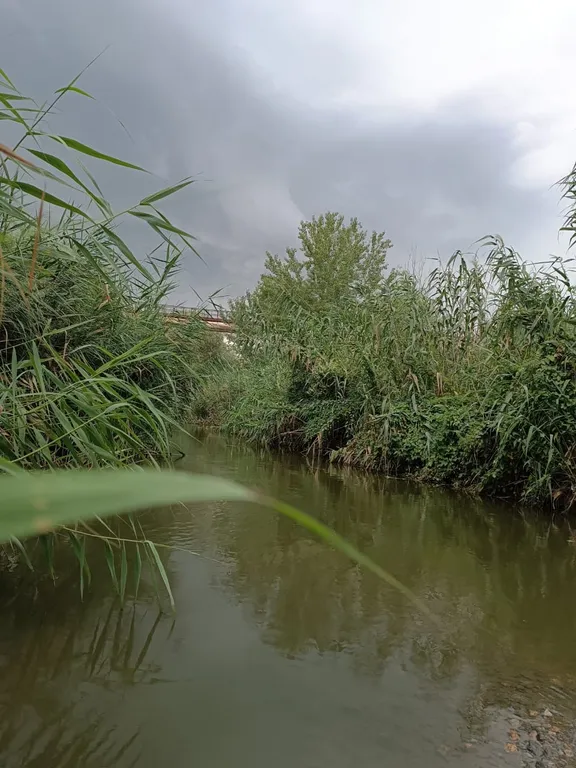 Дом-оазис природы и уюта в центре города