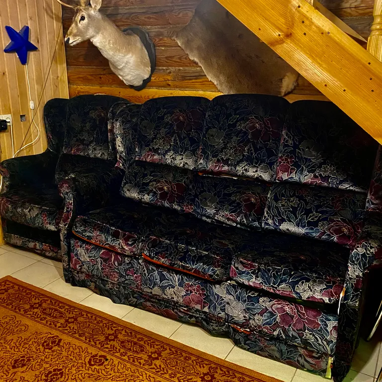 Три богатыря