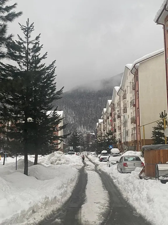 Белые горошины с видом на Marriott, горы, казино