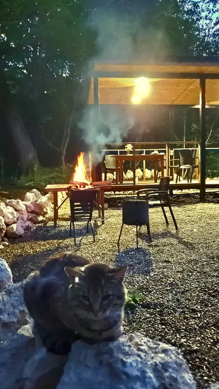 Барн-хаус 2+1 в тишине у леса и горной реки