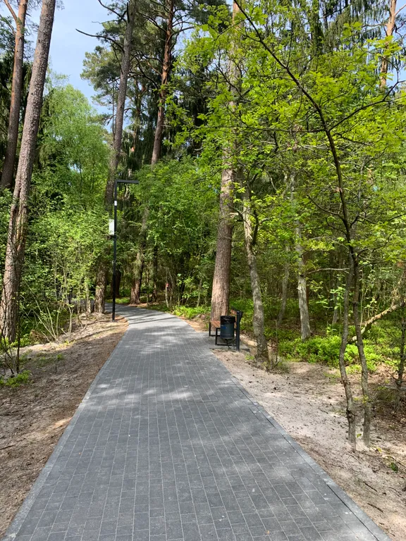 Апартаменты у озера тихое, с видом на лес