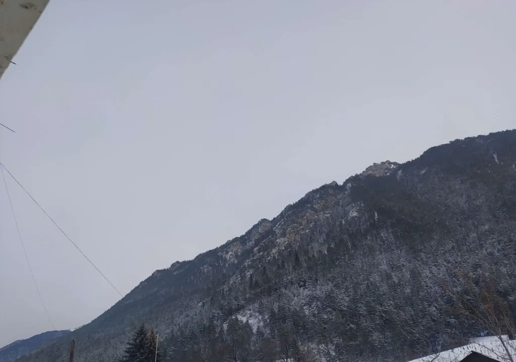 Уютная квартира на Поляне