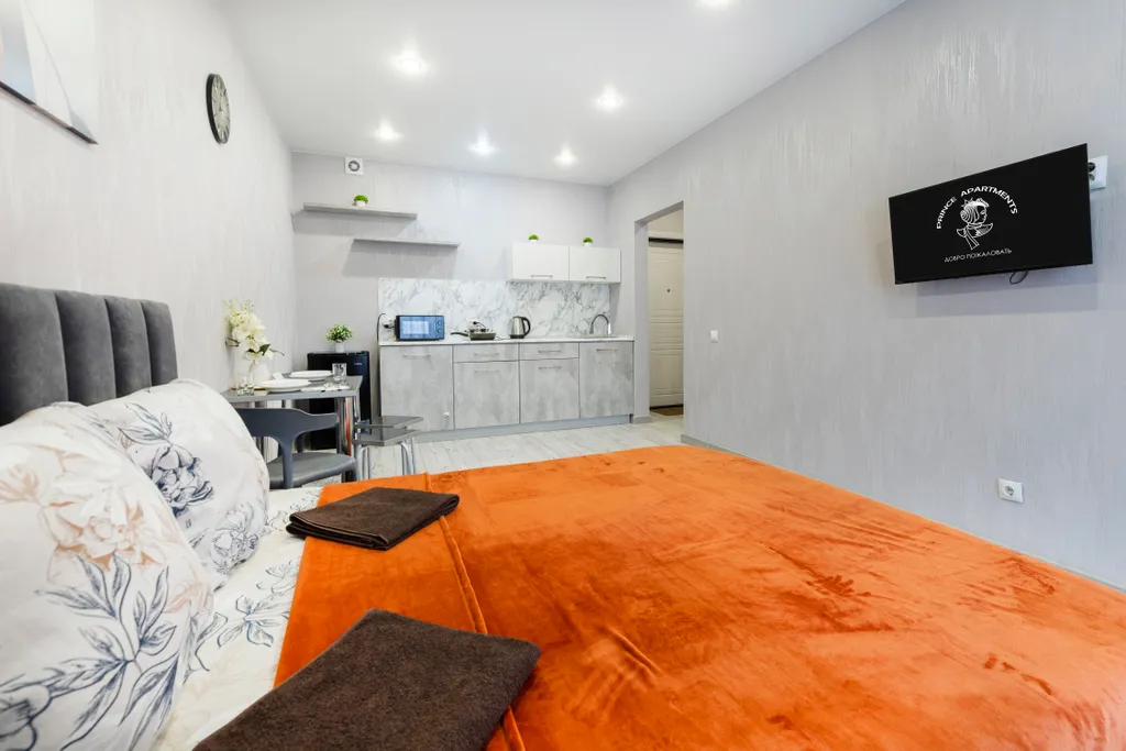 Просторная студия рядом с аэропортом