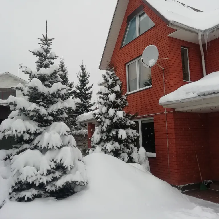 Коттедж под дубом — аренда посуточно в Подольск