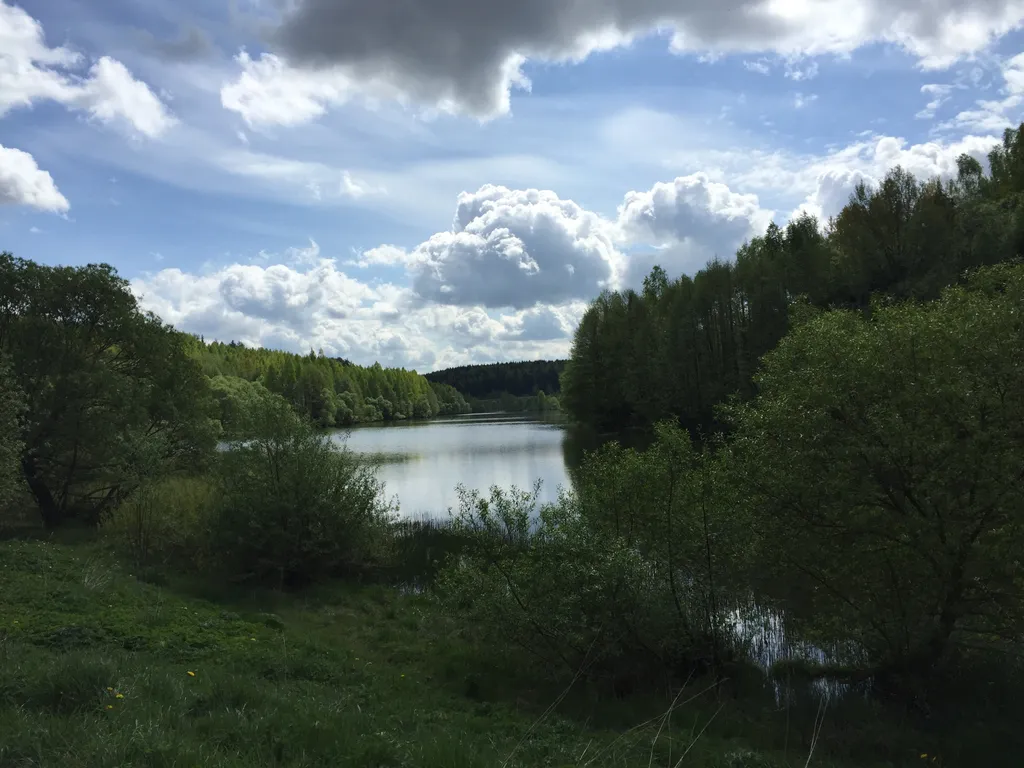 Рыжий кот - Деревянный Дом (WoodHouse)