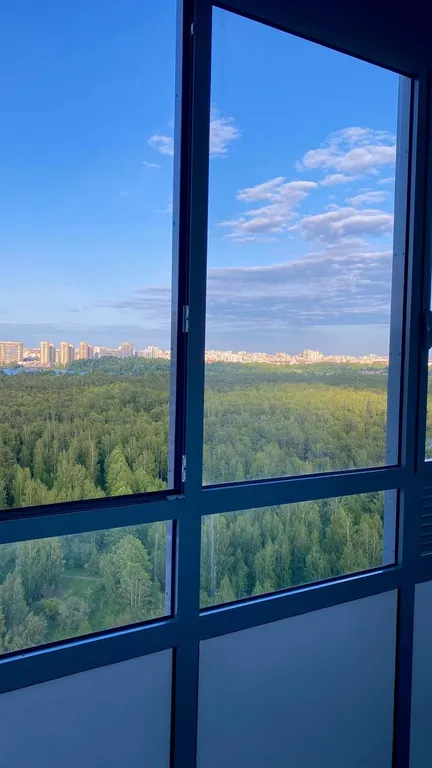 Студия с видом на зелёный заповедник