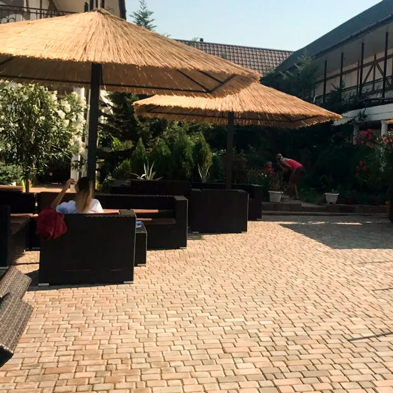 Муравейник