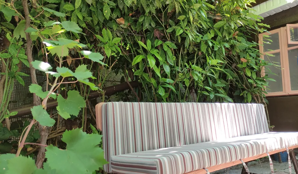 Комната с двориком в Приморском парке 2 минуты до моря