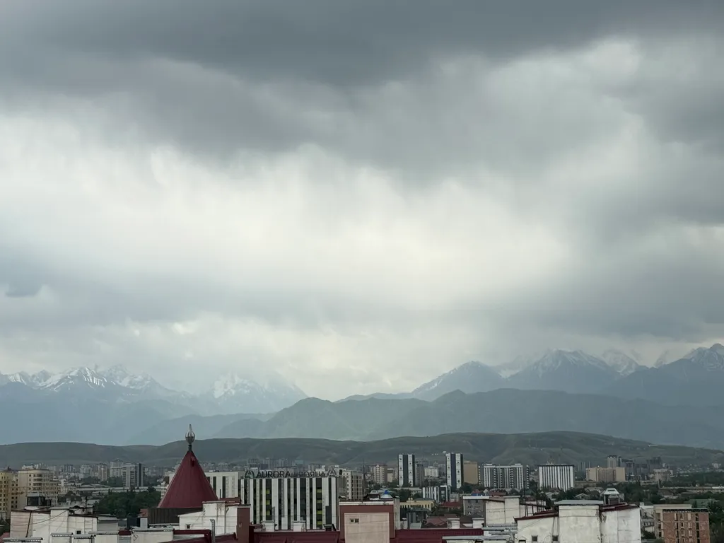 Просторная квартира в центре города