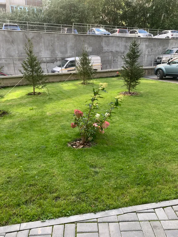 Квартира Уютная дизайнерская квартира в новом доме на метро Золотая Нива — Новосибирск