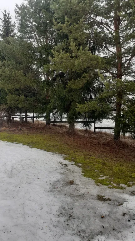 Дачный домик с Банькой в Карелии