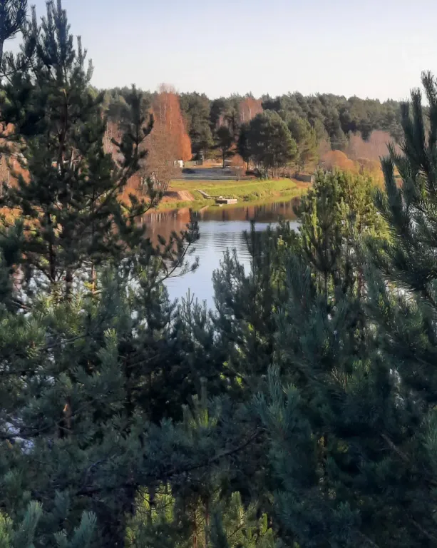 Незабываемый отдых в доме на берегу реки