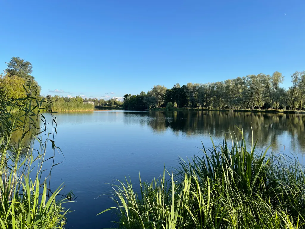 Апартаменты Panorama